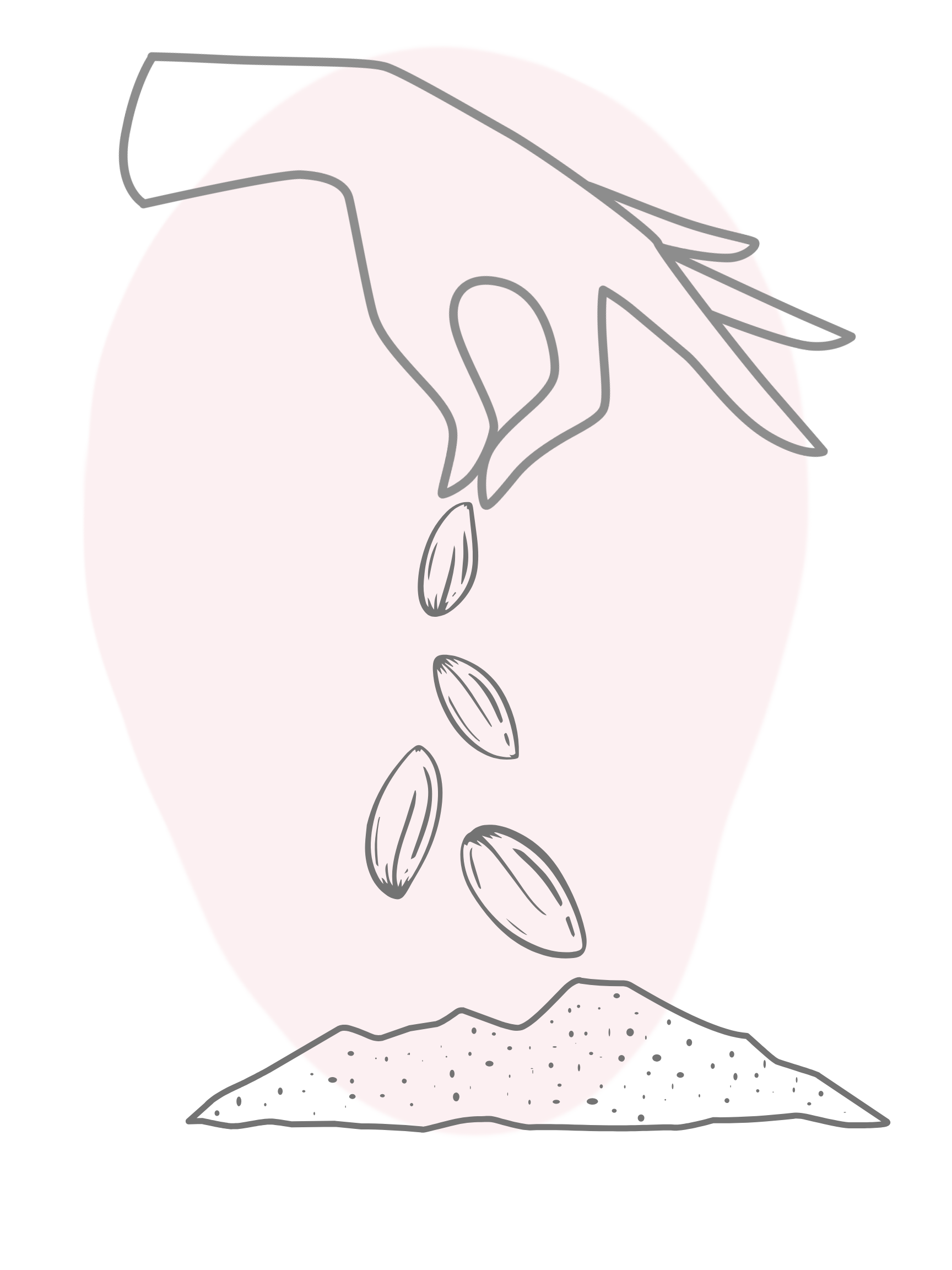 seeds annmariemd