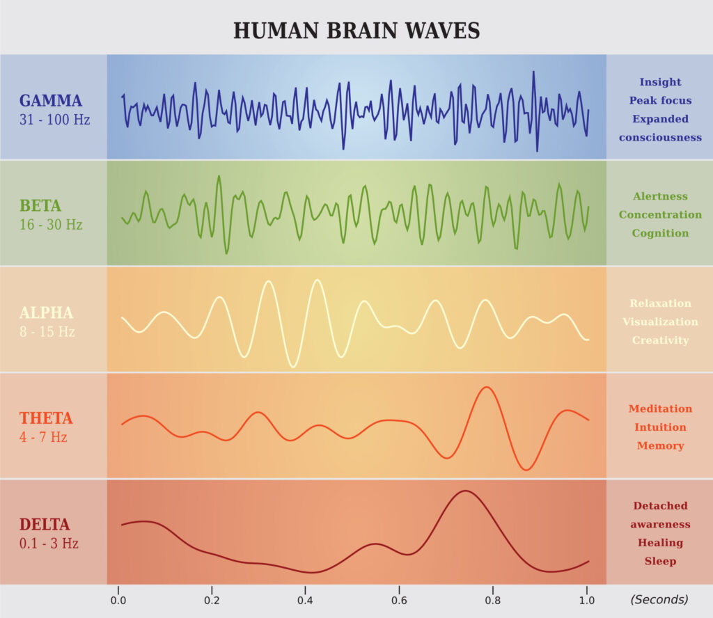 Diagram of brain waves for adults