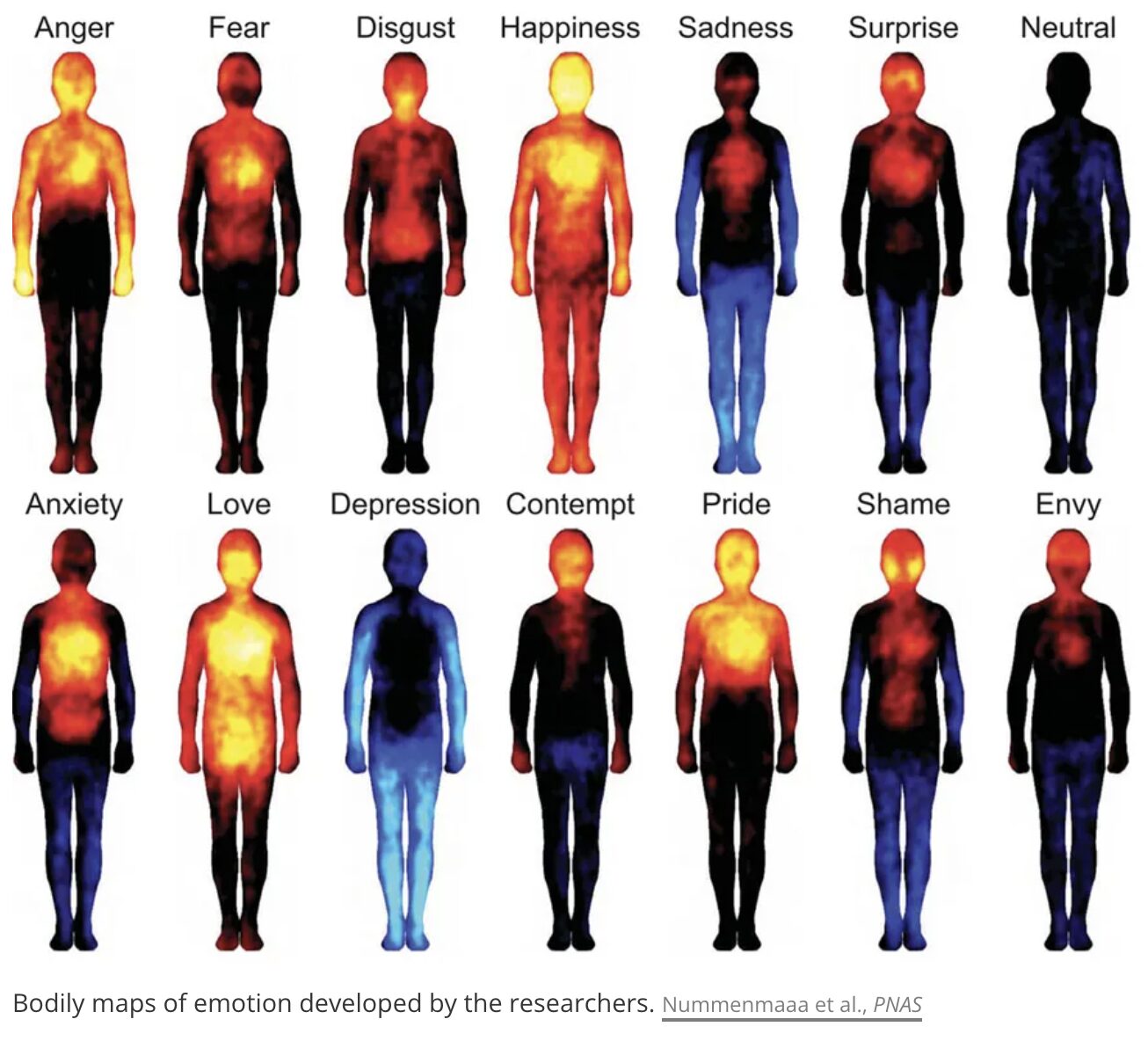 body map