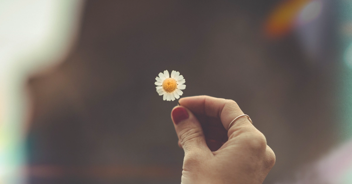 Finding Purpose in Authenticity