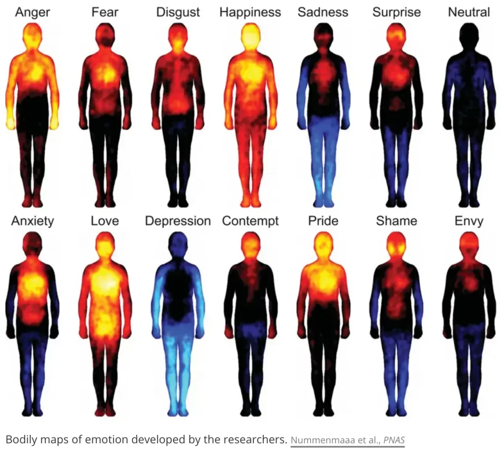 Body Map Image