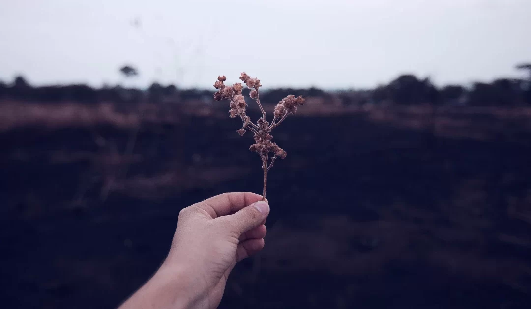 Why Is Forgiveness So Hard And How To let Go