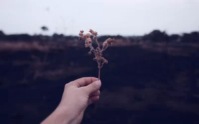 Why Is Forgiveness So Hard And How To let Go