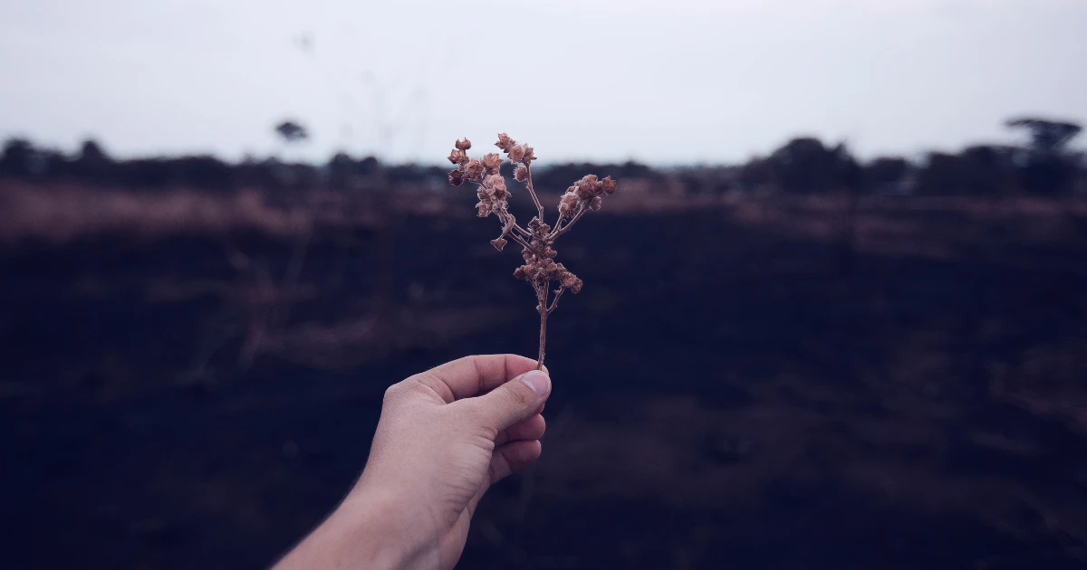 hard to Forgive, forgiveness work