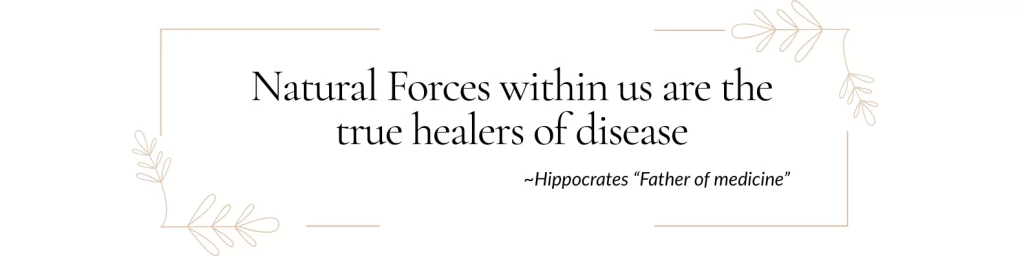 hippocrates - Ann Marie MD Decorative quote card with a beige botanical border: "Natural Forces within us are the true healers of disease" — Hippocrates, Father of medicine.