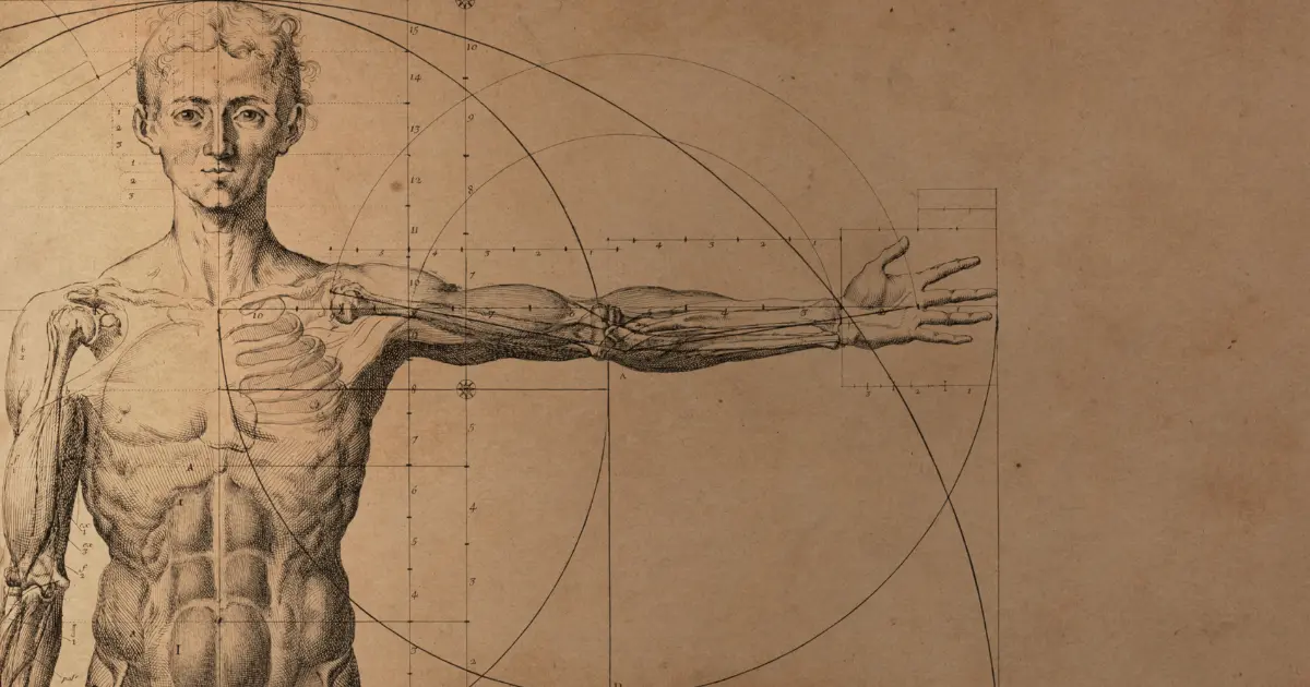 Vitruvian man with outstretched arm drawn over geometric circles and measuring scales, illustrating anatomy and proportion study by Leonardo da Vinci.