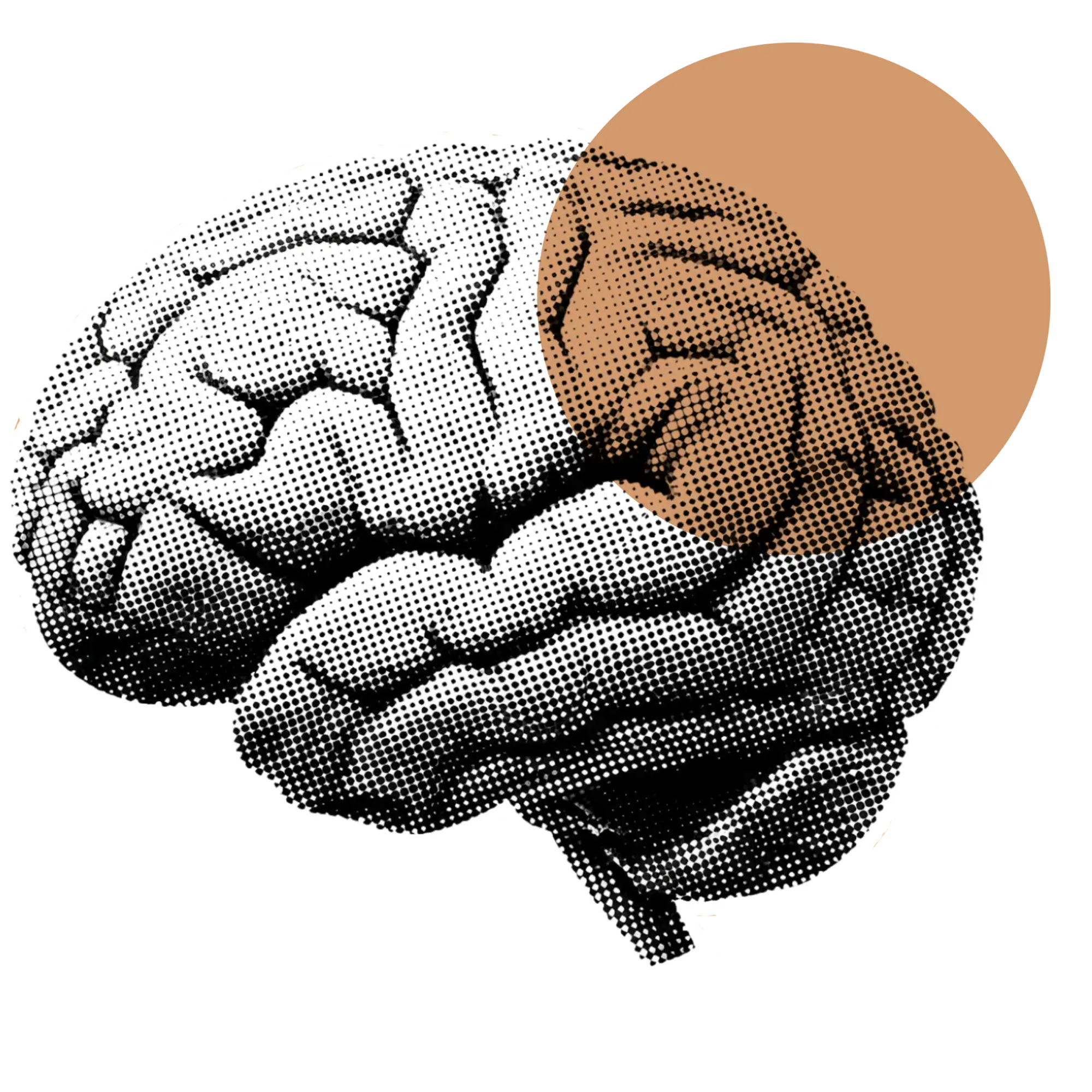 Brain image for using hypnosis for chronic pain